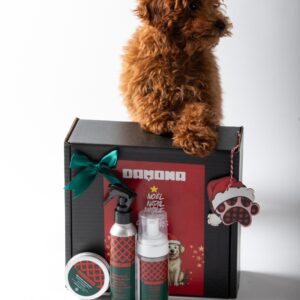 Pack de navidad para perros